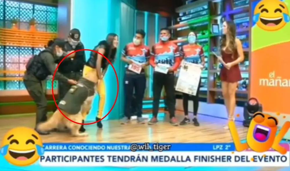 El video no tardó en viralizarse en las redes sociales. Foto: composición LR/captura de TikTok/@wil_tiger El video no tardó en viralizarse en las redes sociales. Foto: composición LR/captura de TikTok/@wil_tiger