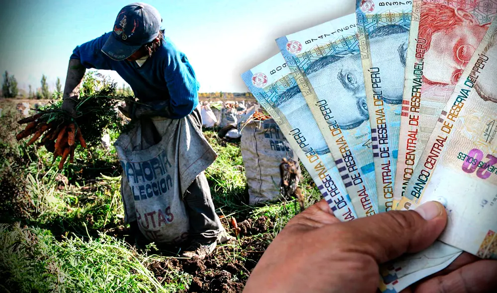 Fertiabono ayuda a pequeños agricultores en la compra de fertilizantes.