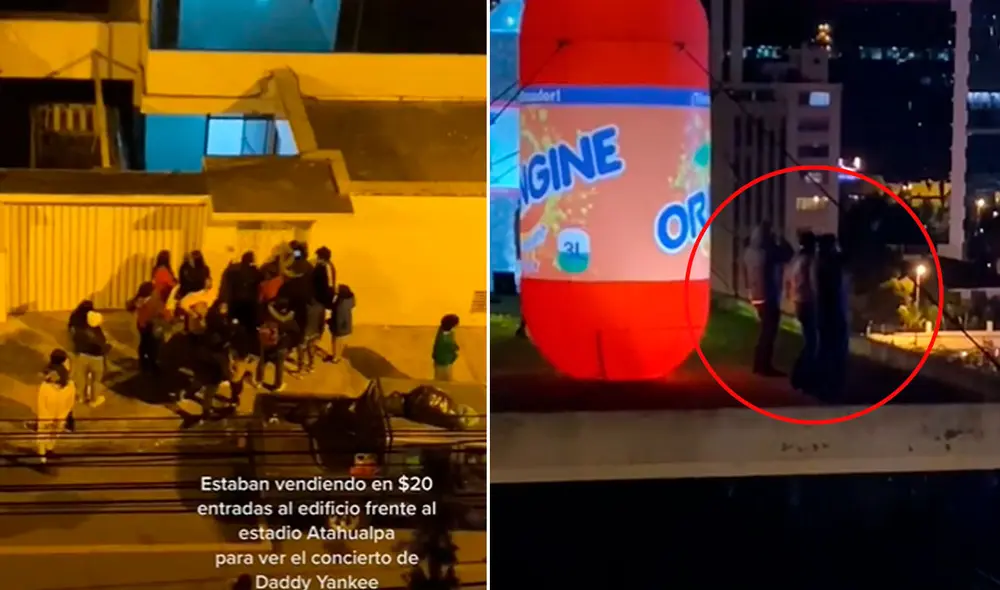 Las imágenes causaron asombro entre miles de usuarios. Foto: composición LR/TikTok/@lizalandazurikovalenko