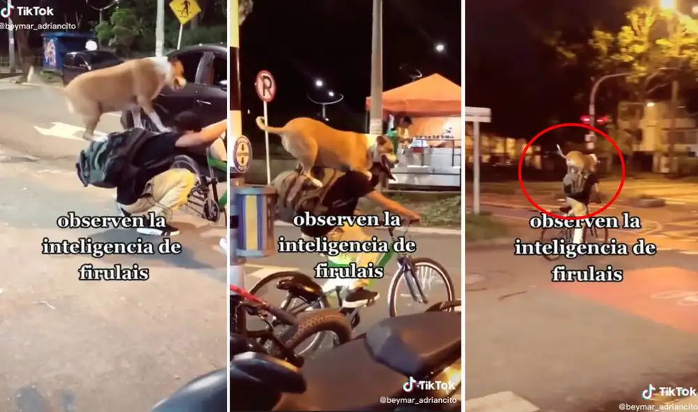 El video ha conseguido más de 4 millones de visualizaciones en TikTok. Foto: composición LR/captura de TikTok/@beymar_adriancito