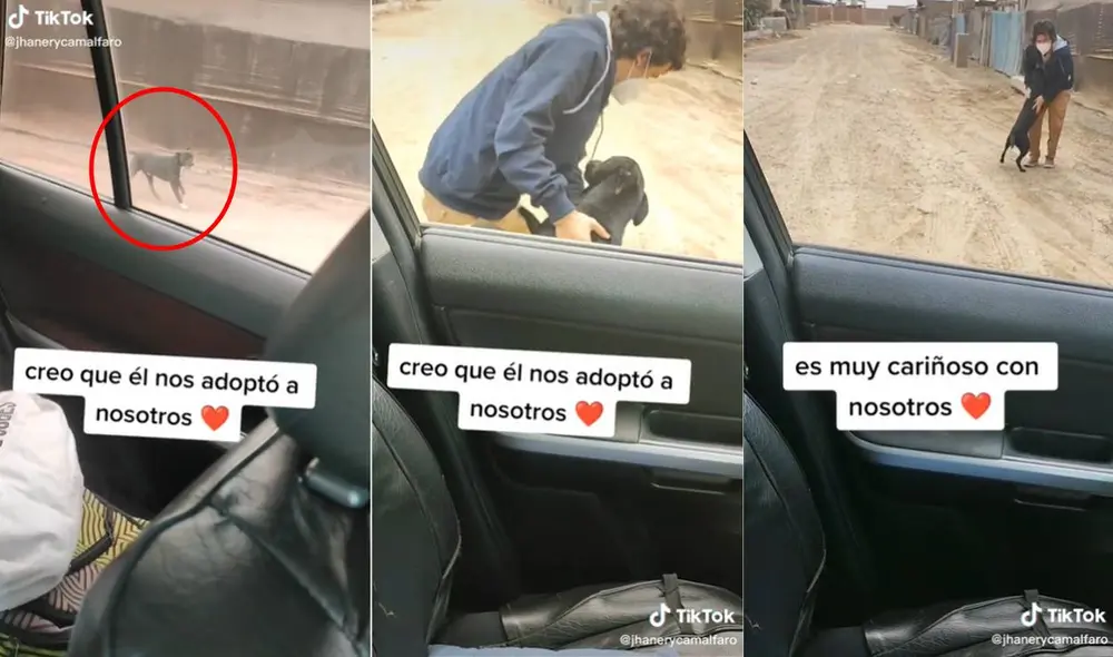 El video no tardó en viralizarse en las redes sociales. Foto: composición LR/captura de TikTok/@jhanerycamalfaro