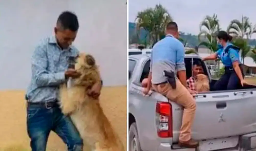 El perrito acaparó todas las miradas en redes sociales por su gran lealtad a su dueño. Foto: composición LR/captura de Tiempo