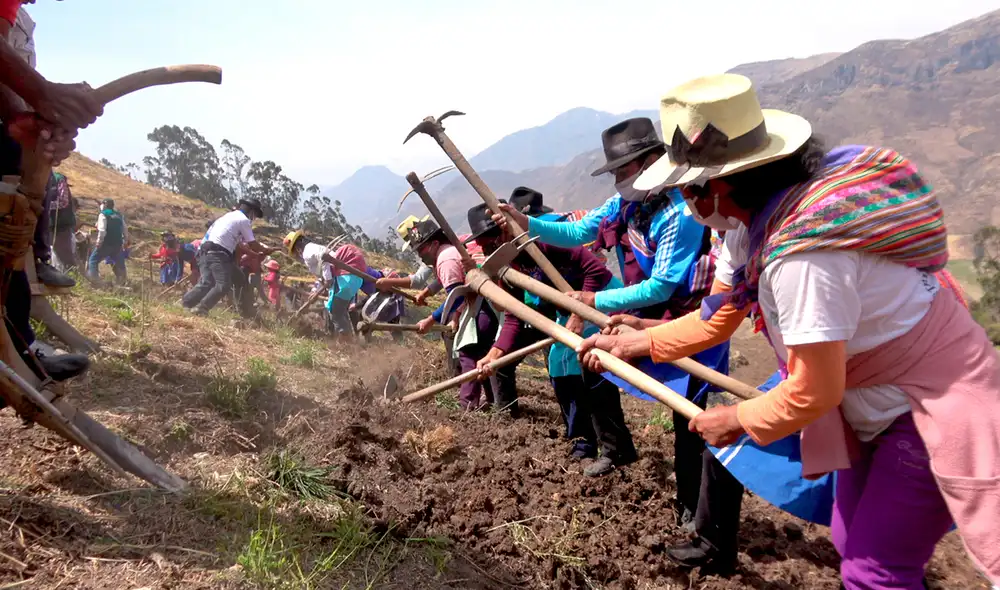 Midagri lanza Siembra Más, programa de créditos para comprar insumos agrícolas y fertilizantes. Foto: Midagri