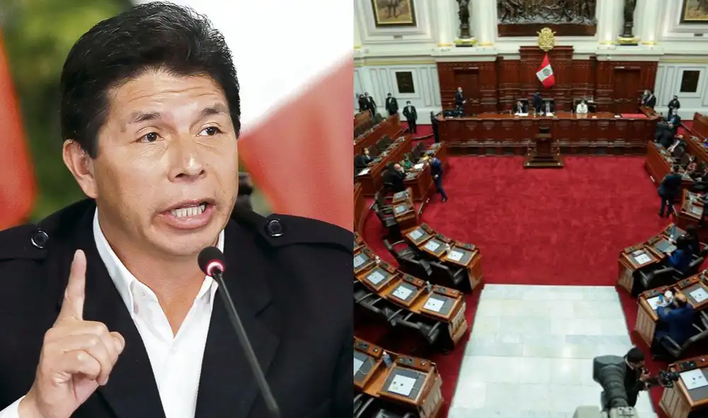 Si la denuncia procede, el Congreso puede dictaminar suspensión, sanción, inhabilitación o destitución del presidente Pedro Castillo. Foto: EFE/Congreso de la República Si la denuncia procede, el Congreso puede dictaminar suspensión, sanción, inhabilitación o destitución del presidente Pedro Castillo. Foto: EFE/Congreso de la República
