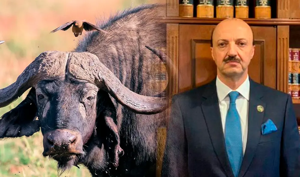 La Federación Mexicana de Caza lamentó la muerte del hombre, a quien definió como un “luchador incansable por los derechos de los cazadores”. Foto: composición LR/ Atlas Animal/ El periódico