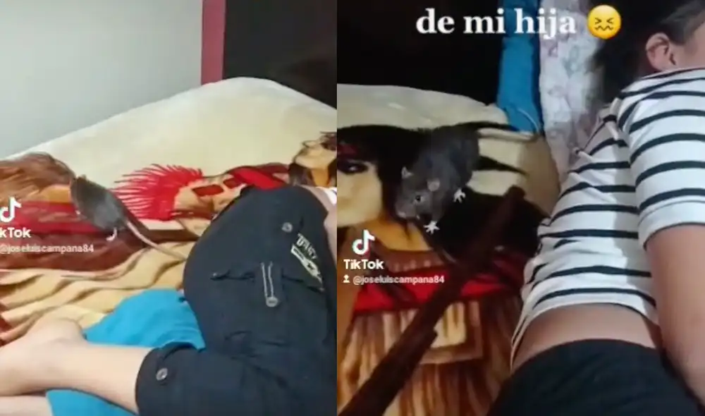 Este hecho sucedió en México. Foto: composición LR/TikTok/@joseluiscampana84 Este hecho sucedió en México. Foto: composición LR/TikTok/@joseluiscampana84