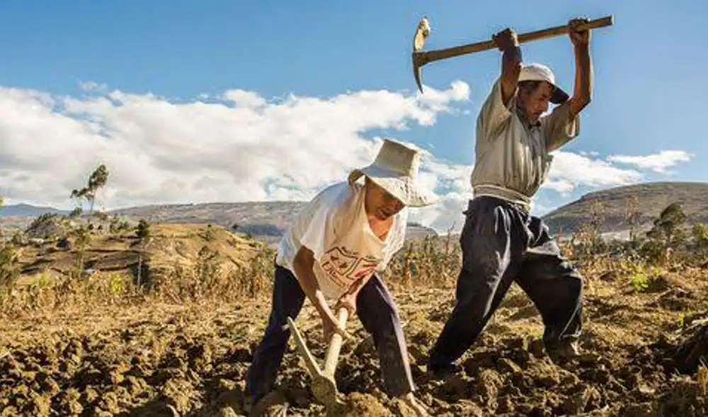 Agricultores de Cusco molestos por cambio de cita. Foto: La República Agricultores de Cusco molestos por cambio de cita. Foto: La República