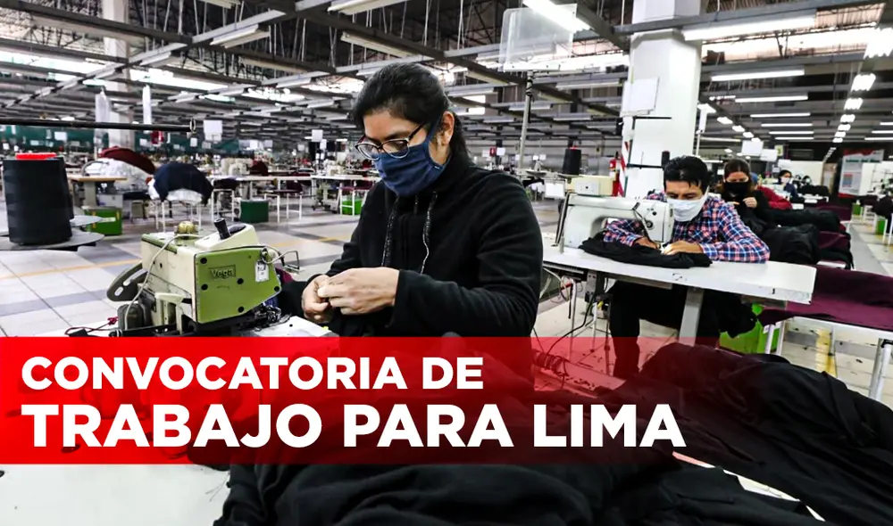 La remuneración económica también varía, según la institución, pero el sueldo máximo es de 9.000 soles. Foto: composición de Jazmin Ceras/Andina La remuneración económica también varía, según la institución, pero el sueldo máximo es de 9.000 soles. Foto: composición de Jazmin Ceras/Andina