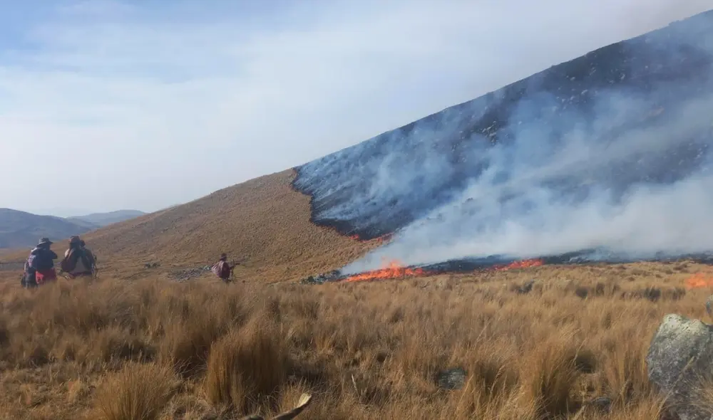 Incendio forestal deja sin vida a una persona en Apurímac. Foto: Municipalidad Coyllurqui