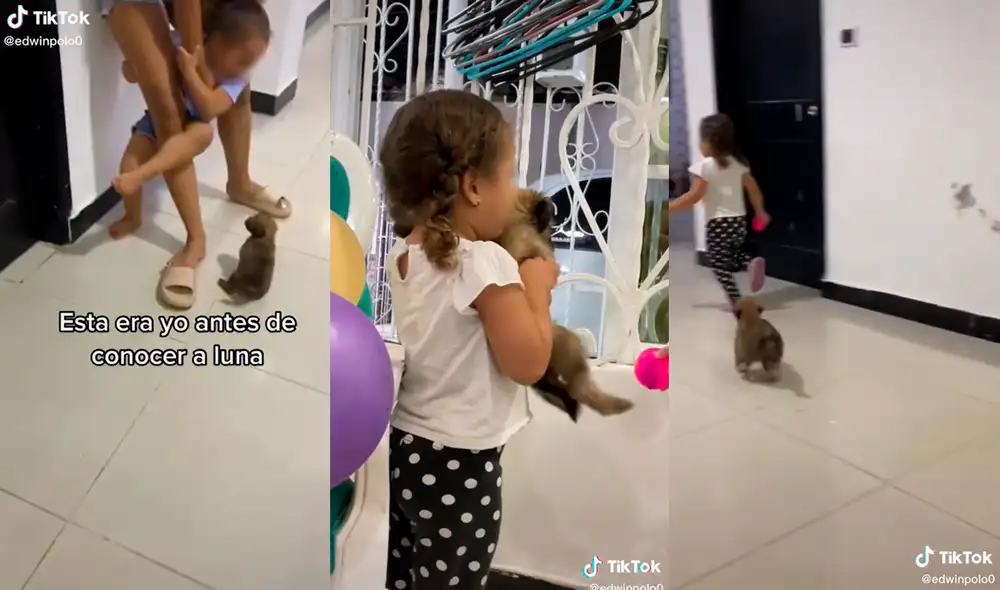 Las imágenes tocaron el corazón de miles de personas que son amantes de los animales. Foto: captura de TikTok / @edwinpolo0