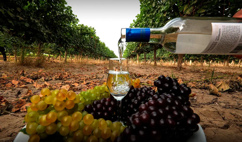 Exportaciones de pisco crecieron 77% y sumaron US$ 6,2 millones hasta agosto. Foto: Andina