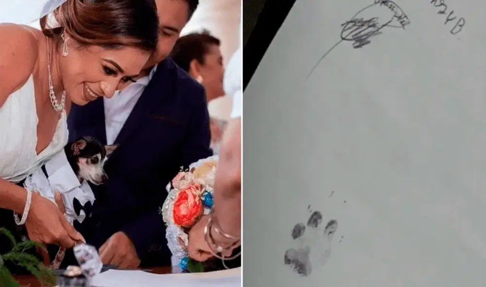 El perrito se convirtió en el protagonista de esta nueva historia de amor. Foto: composición LR/captura de Facebook/@Somosmitu El perrito se convirtió en el protagonista de esta nueva historia de amor. Foto: composición LR/captura de Facebook/@Somosmitu