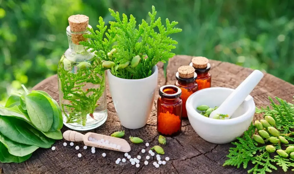 Multiusos. De la planta del llantén, así como la del cannabis, son extraídos sus elementos curatorios. Foto: referencial/Ecología verde Multiusos. De la planta del llantén, así como la del cannabis, son extraídos sus elementos curatorios. Foto: referencial/Ecología verde