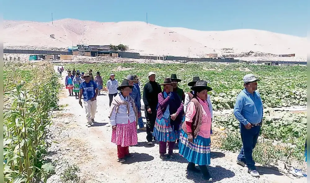 Consultas. Los agricultores que tengan dudas sobre el apoyo monetario, y no puedan acceder a internet, pueden llamar a la línea gratuita 0800-74006. Foto: La República