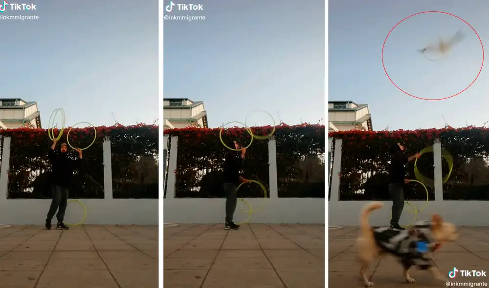 Las imágenes han logrado más de 2,6 millones de visualizaciones. Foto: composición de LR/captura de TikTok/@Inkmmigrante Las imágenes han logrado más de 2,6 millones de visualizaciones. Foto: composición de LR/captura de TikTok/@Inkmmigrante