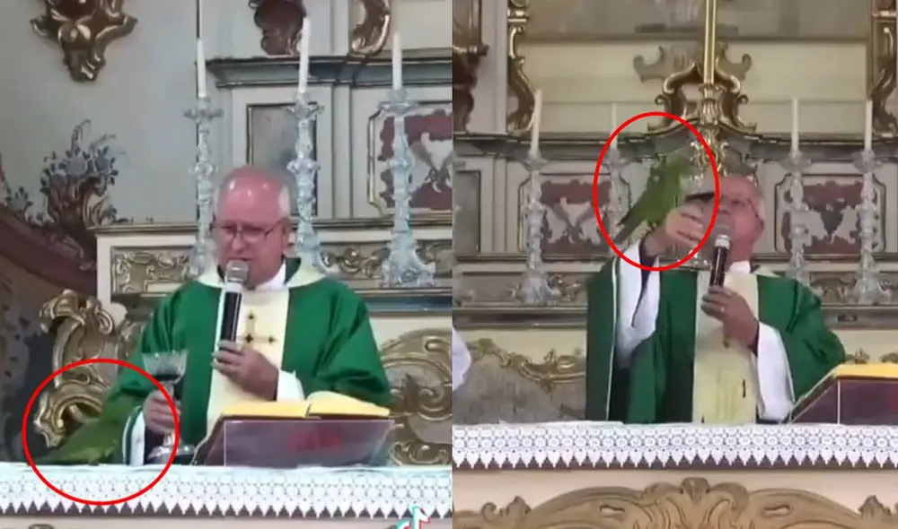 El clip no tardó en hacerse viral en todas las redes sociales. Foto: composición LR/captura de TikTok/@tiagodonizetemsc