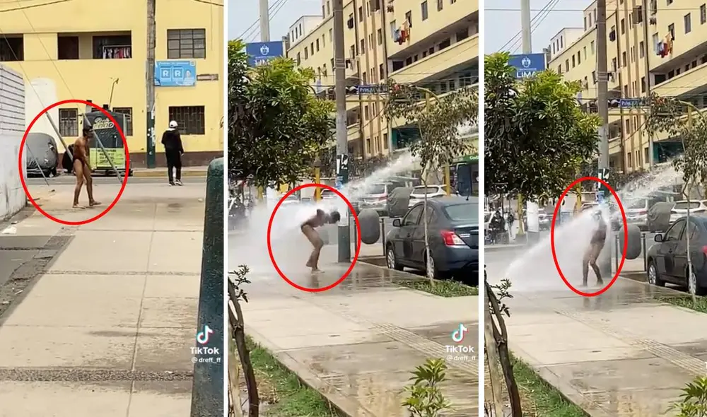 El video no tardó en viralizarse en redes sociales. Foto: composición LR/captura de TikTok/@dreff_ff