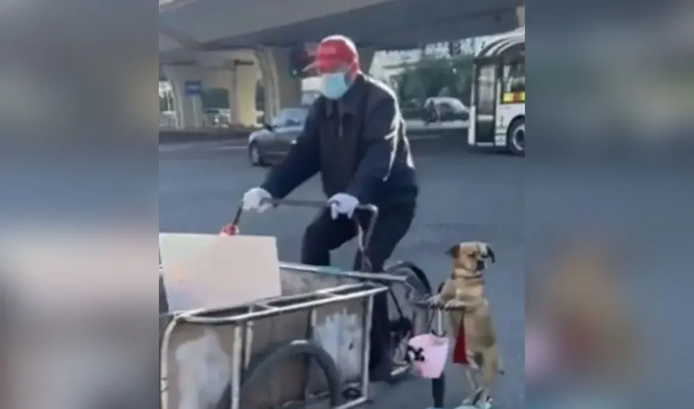 Miles de usuarios quedaron cautivados al ver esta escena. Foto: captura de TikTok/@heartdance191