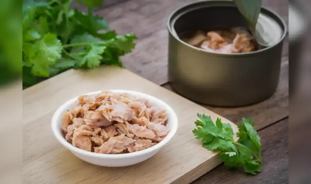 La lata de atún en conserva es una fiel aliada de la rutina alimentaria. Foto: iStock