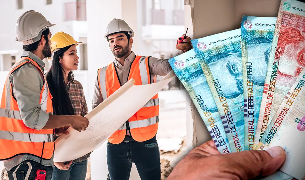 Egresados cuentan con un amplio campo laboral. Foto: composición de Jazmin ceras / La República / Freepik