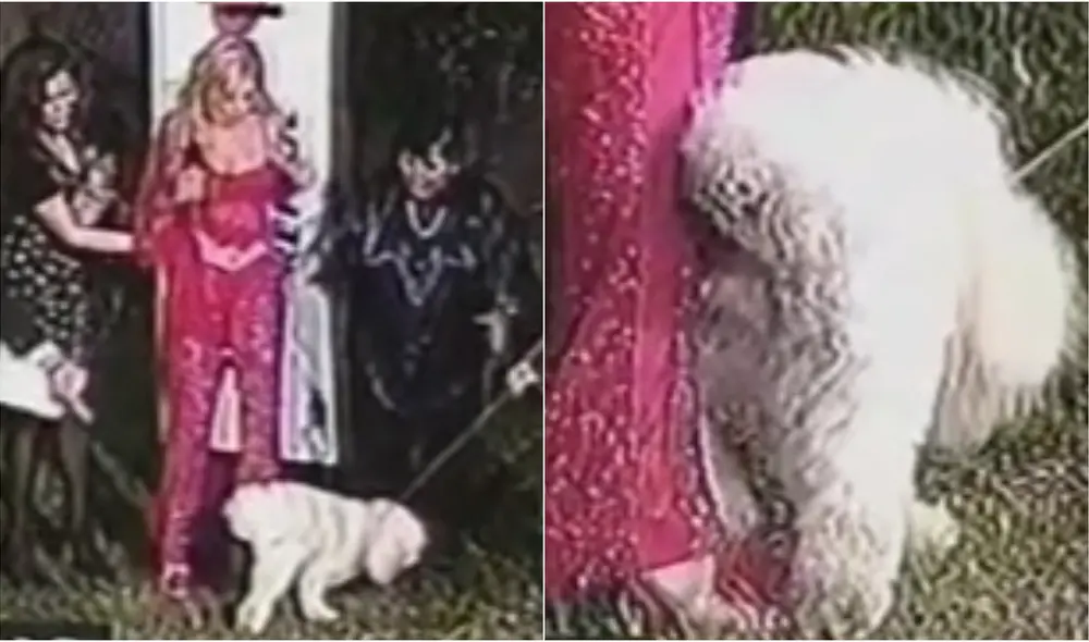 Un usuario de TikTok revivió el suceso que protagonizó Gisela Valcárcel hace unos años. Foto: composición LR/@777josem23/TikTok