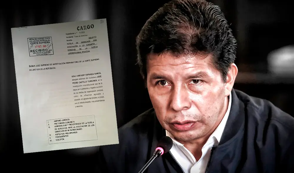 Tutela de derechos presentada por Benji Espinoza a favor del presidente Pedro Castillo. Foto: Composición LR