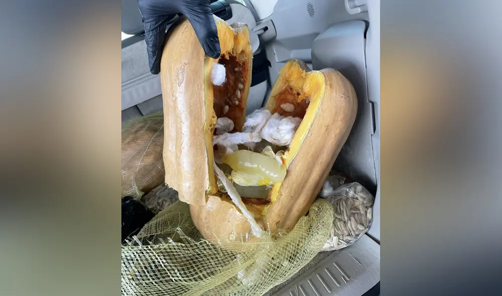 Camuflaje. Intentaron pasar droga dentro de calabazas. Foto: Oficina de Aduanas y Protección Fronteriza de EE. UU. Camuflaje. Intentaron pasar droga dentro de calabazas. Foto: Oficina de Aduanas y Protección Fronteriza de EE. UU.