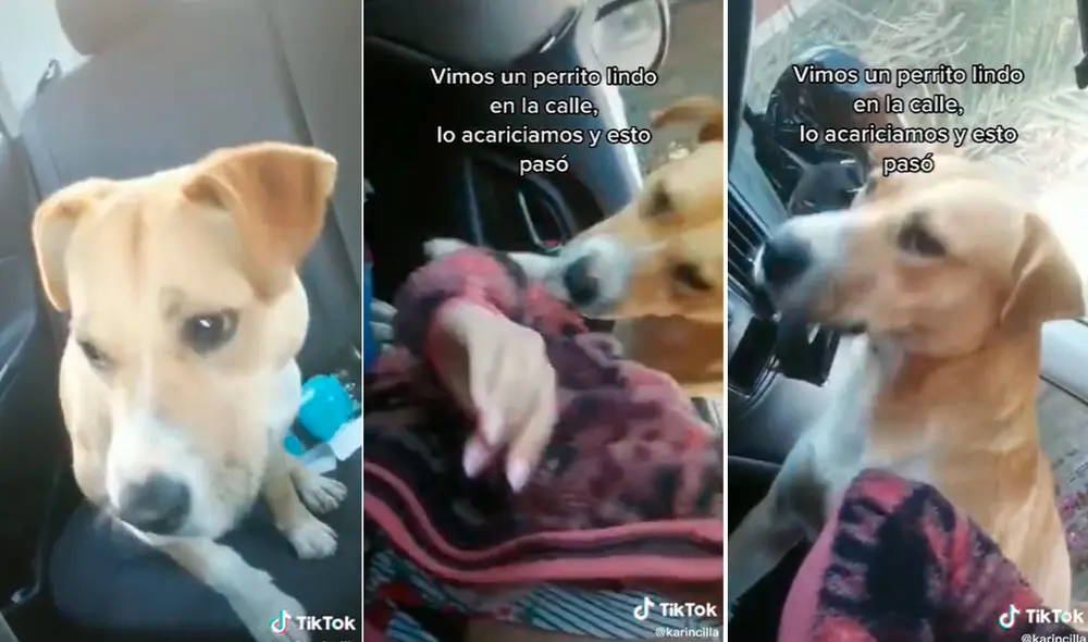 Miles de usuarios quedaron conmovidos al ver esta escena. Foto: composición LR/TikTok/@karincilla Miles de usuarios quedaron conmovidos al ver esta escena. Foto: composición LR/TikTok/@karincilla