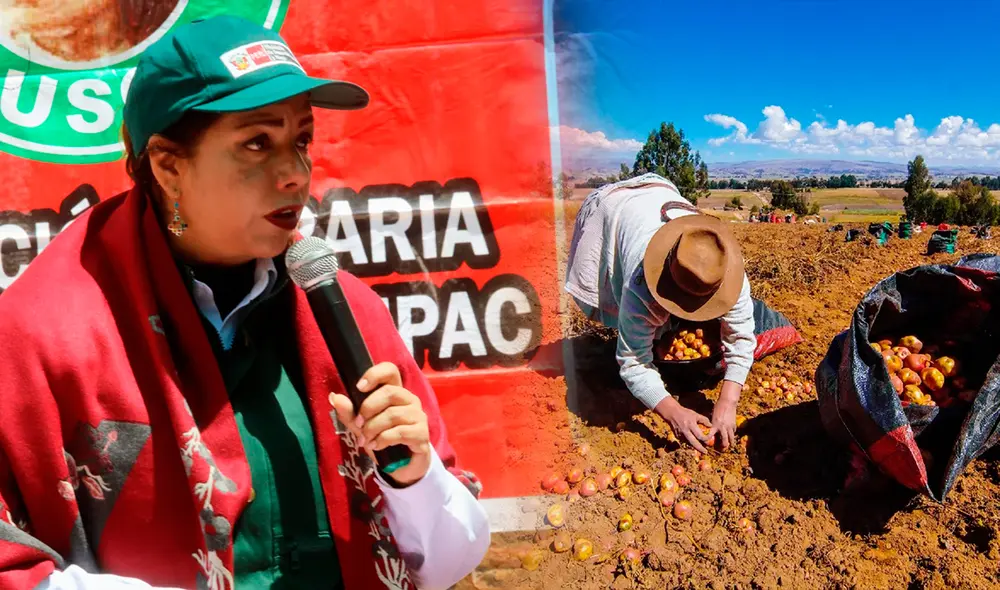 Patricia Ocampo, titular del Midagri, afirmó que esta semana espera entregar la buena pro de la compra de urea. Foto: composición LR / Midagri