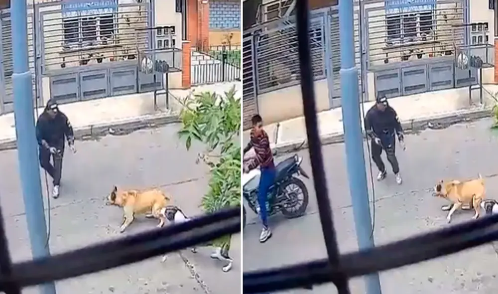 La reacción de estas caninas dejó sin palabras a miles de usuarios. Foto: composición LR/Twitter/@DataConurbano La reacción de estas caninas dejó sin palabras a miles de usuarios. Foto: composición LR/Twitter/@DataConurbano