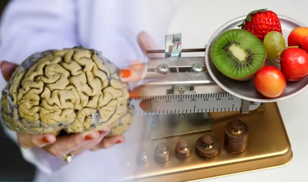 Experta de Harvard reveló la vitamina que permite tener un cerebro saludable. Foto: composición LR/UC Berkeley/CICOA ORG