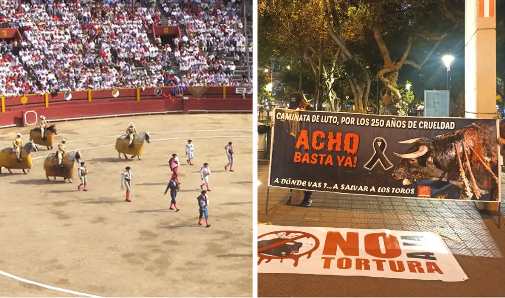 La Ley de Protección Animal, Ley 30407, exceptúa a las peleas de gallos y corridas de toros. Foto: composición LR/EFE/Coordinadora Antitaurina Perú