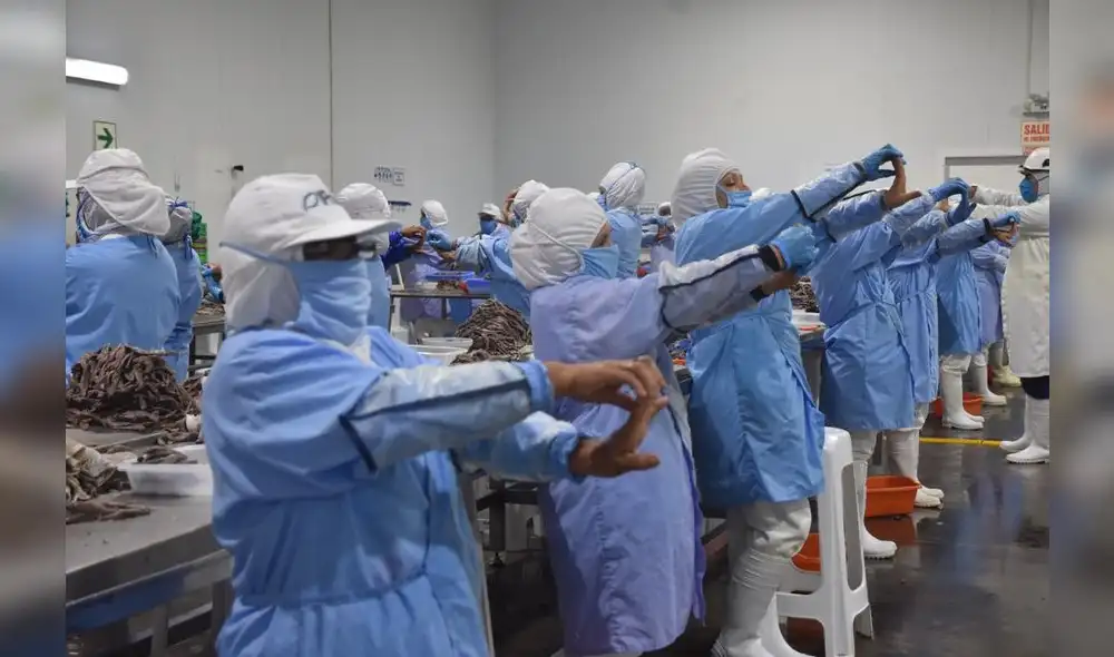 Licencia para descarte cáncer. Empresas que no cumplan pueden ser sancionadas, puesto que dicha falta se encuentra tipificada en el Reglamento de la Ley General de la Inspección de Trabajo. Foto: Sunafil Licencia para descarte cáncer. Empresas que no cumplan pueden ser sancionadas, puesto que dicha falta se encuentra tipificada en el Reglamento de la Ley General de la Inspección de Trabajo. Foto: Sunafil