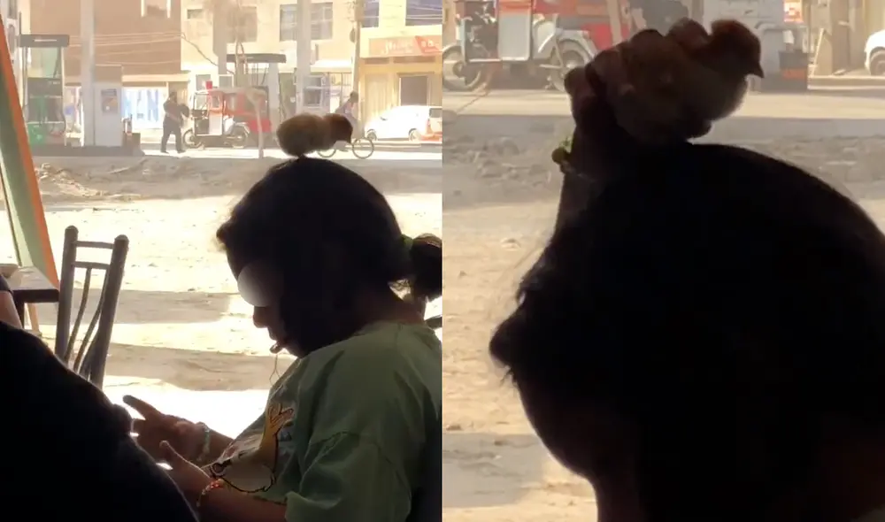 Este hecho sucedió en San Martín de Porres. Foto: composición LR / Twitter / @babyspuki Este hecho sucedió en San Martín de Porres. Foto: composición LR / Twitter / @babyspuki