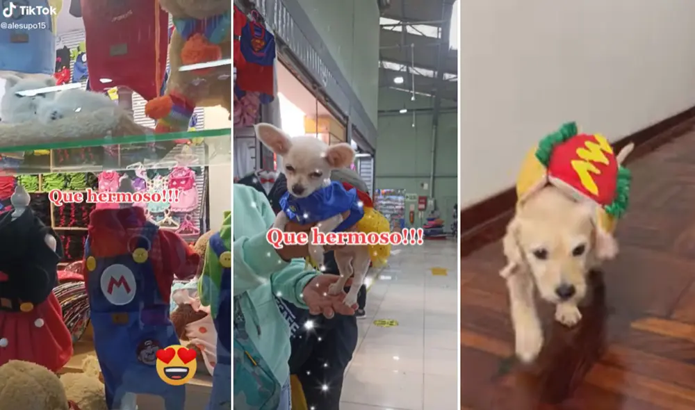 ¿No sabes dónde comprar un disfraz para tu mascota? Foto: composición LR/TikTok/@Desbalancea2/@alesupo15 ¿No sabes dónde comprar un disfraz para tu mascota? Foto: composición LR/TikTok/@Desbalancea2/@alesupo15