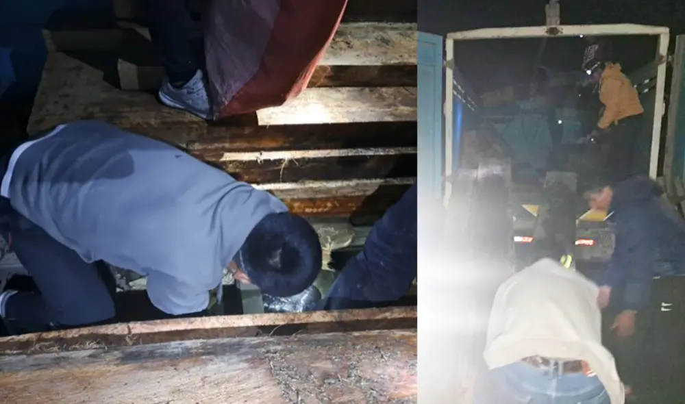 Decomisan más de una tonelada y media de hoja de coca ilegal en Paucartambo, Cusco. Foto: PNP Decomisan más de una tonelada y media de hoja de coca ilegal en Paucartambo, Cusco. Foto: PNP