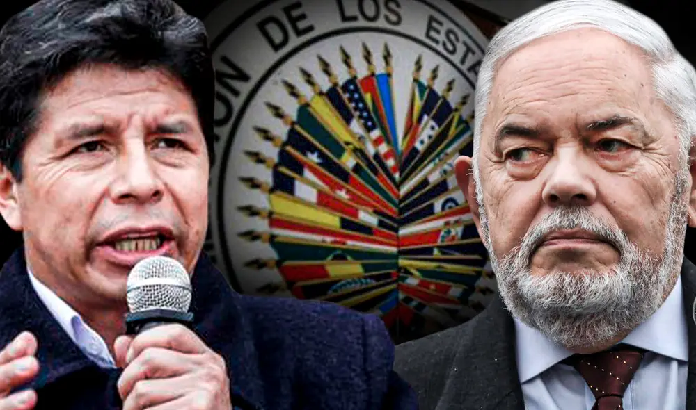 OEA respaldó a Pedro Castillo en solicitud para activar la Carta Democrática. Foto: composición de Jazmín Ceras / La República OEA respaldó a Pedro Castillo en solicitud para activar la Carta Democrática. Foto: composición de Jazmín Ceras / La República