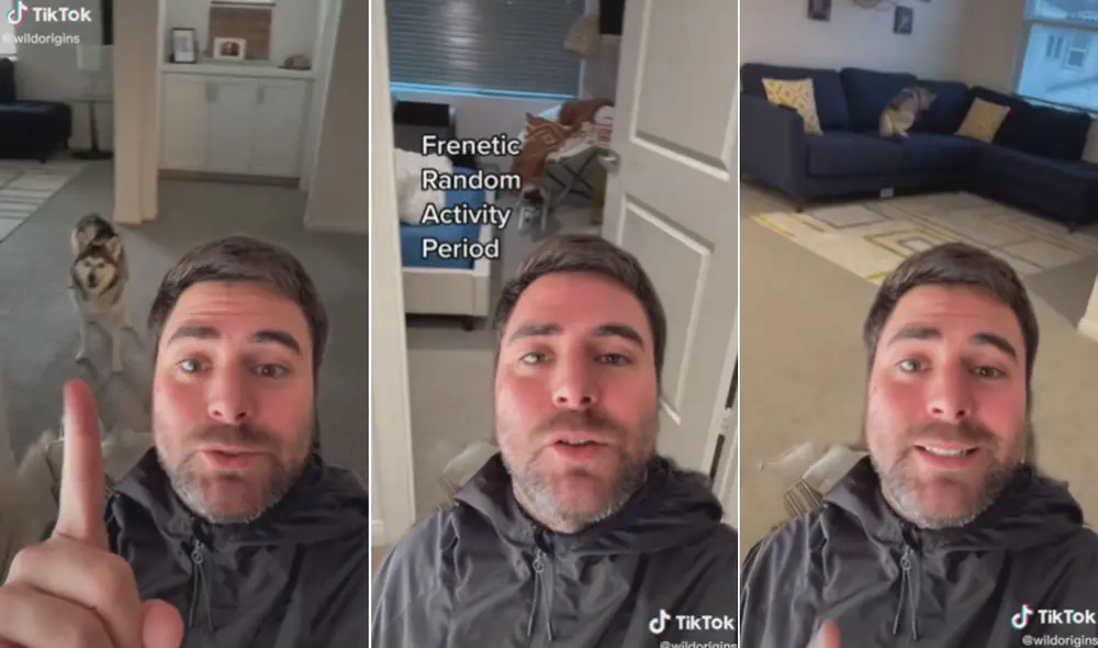 Miles de usuarios han quedado impresionados al conocer los detalles de esta conducta en los perritos. Foto: composición LR/TikTok/@wildorigins Miles de usuarios han quedado impresionados al conocer los detalles de esta conducta en los perritos. Foto: composición LR/TikTok/@wildorigins