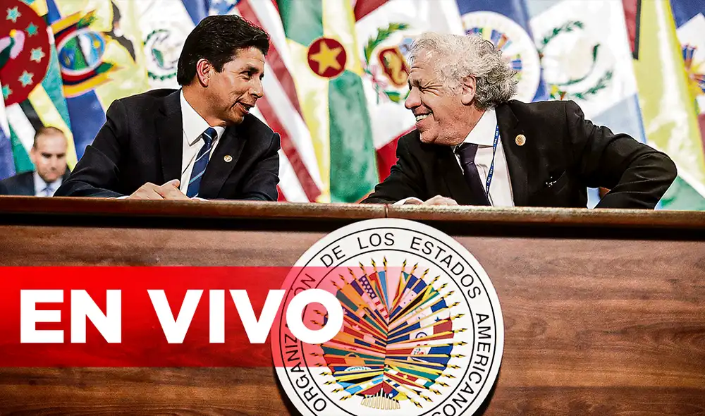 Luego de una sesión extraordinaria, OEA apoyó pedido de Castillo. Foto: Composición LR/difusión