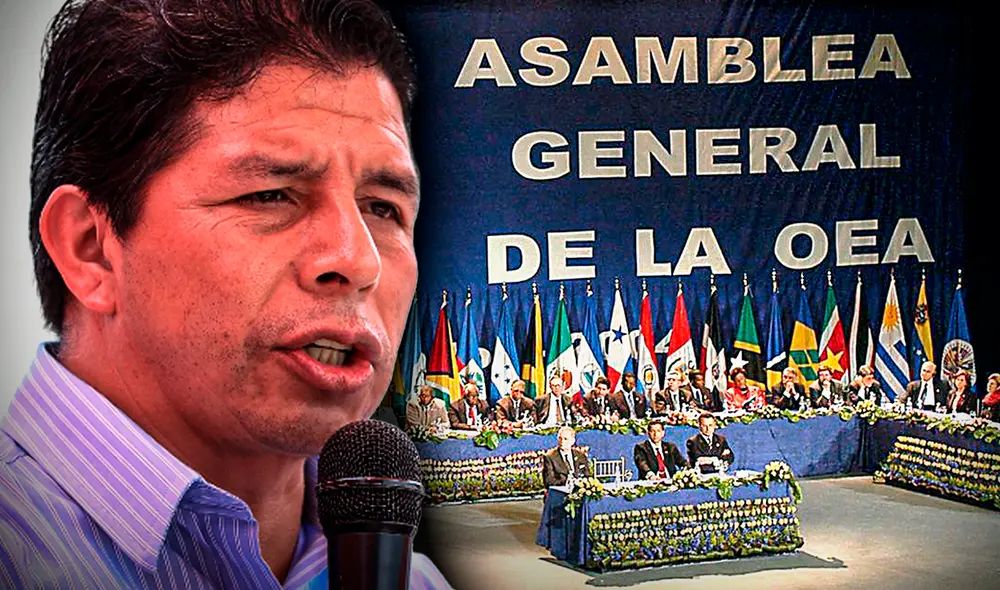 Pedro Castillo solicitó a la OEA que se active la Carta Democrática. Foto: composición Gerson Cardoso/La República Pedro Castillo solicitó a la OEA que se active la Carta Democrática. Foto: composición Gerson Cardoso/La República