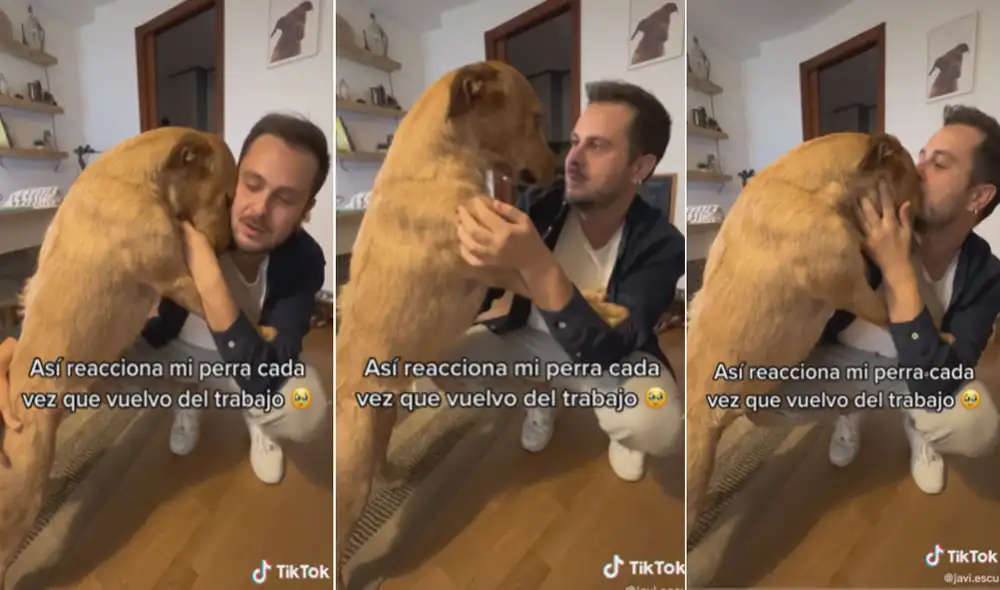 La conmovedora reacción de esta perrita enterneció a miles. Foto: composición LR/TikTok/@javi.escu La conmovedora reacción de esta perrita enterneció a miles. Foto: composición LR/TikTok/@javi.escu