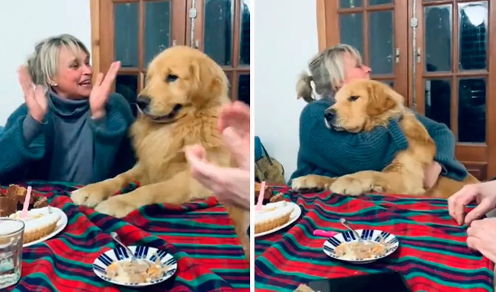 La familia preparó una pequeña torta para que pudieran disfrutarlo todos en el día especial de su mascota. Foto: composición LR/Facebook/@amparomagnoli
