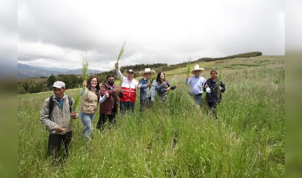 Se promoverá la competitividad, innovación y exportaciones. Foto: GRLL Se promoverá la competitividad, innovación y exportaciones. Foto: GRLL