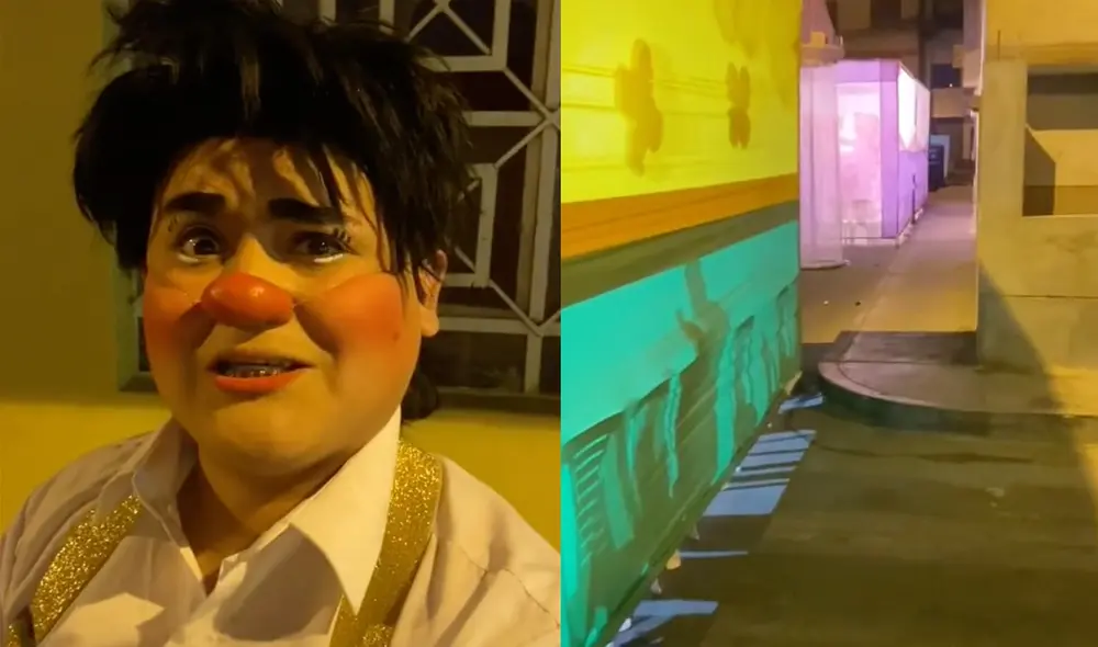 Este video ha conseguido 119.000 'me gusta' en TikTok. Foto: composición LR/captura de TikTok/@terrylopez23