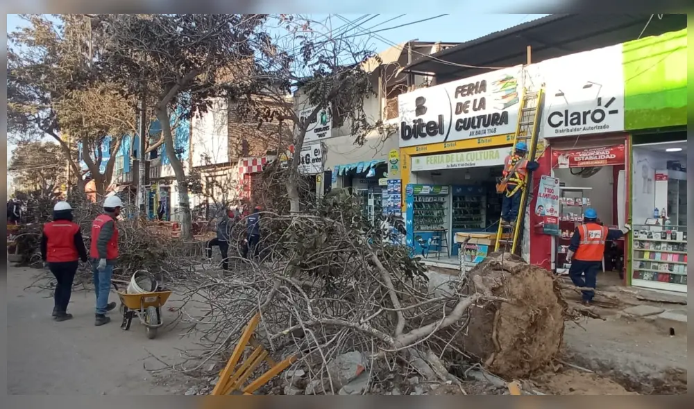 La obra de renovación de veredas en la avenida Balta costó más de S/ 4 millones. Foto: La República La obra de renovación de veredas en la avenida Balta costó más de S/ 4 millones. Foto: La República