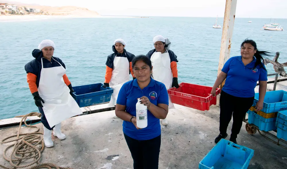 Elizabeth Ruiz y miembros de su asociación en el desembarcadero de El Ñuro. Foto: Renzo Vicente/La República. Elizabeth Ruiz y miembros de su asociación en el desembarcadero de El Ñuro. Foto: Renzo Vicente/La República.