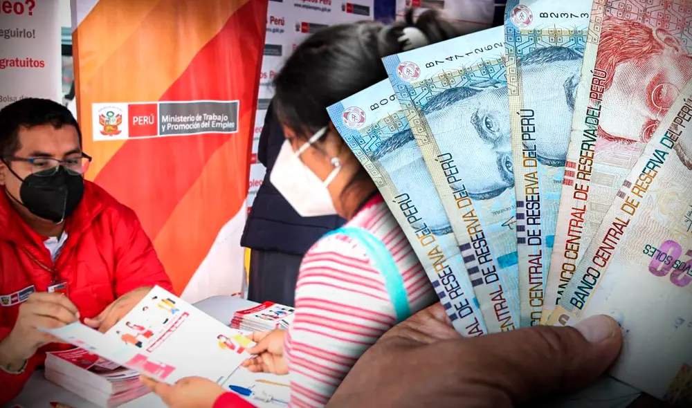 Convocatorias de trabajo vigentes del 30 de enero al 5 de febrero en Lima y provincias. Foto: composición de Gerson Cardoso/LR/MTPE/La República Convocatorias de trabajo vigentes del 30 de enero al 5 de febrero en Lima y provincias. Foto: composición de Gerson Cardoso/LR/MTPE/La República