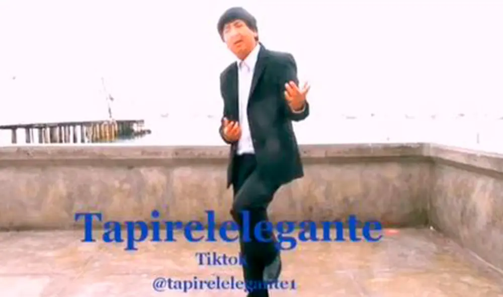 Tras el lanzamiento de su tema musical bajo el nombre de ‘Tapir Malo’, sus seguidores destacaron su talento. Foto: composición LR/TikTok/@tapirelelegante1 Tras el lanzamiento de su tema musical bajo el nombre de ‘Tapir Malo’, sus seguidores destacaron su talento. Foto: composición LR/TikTok/@tapirelelegante1