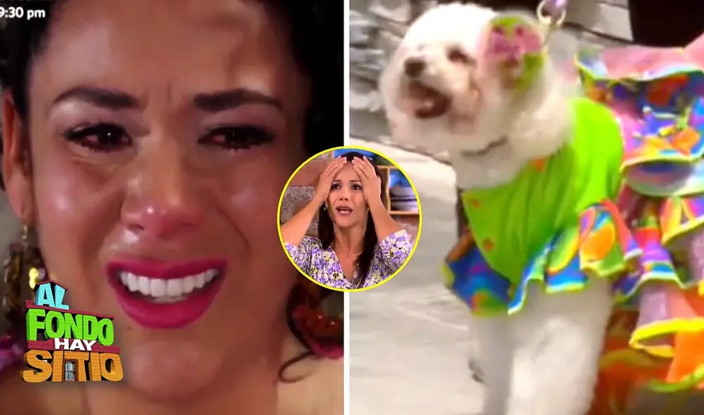 Por suerte, para Teresita, Charo está para consolarla. ¿Qué pasó? Aquí te contamos sobre la dolorosa escena de "Al fondo hay sitio". Foto: composición LR/América TV