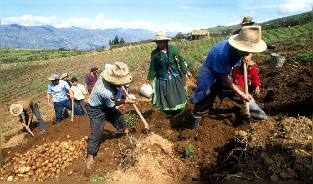 El PPA permitirá a los agricultores acceder a diversos beneficios del Estado. Foto: Andina El PPA permitirá a los agricultores acceder a diversos beneficios del Estado. Foto: Andina
